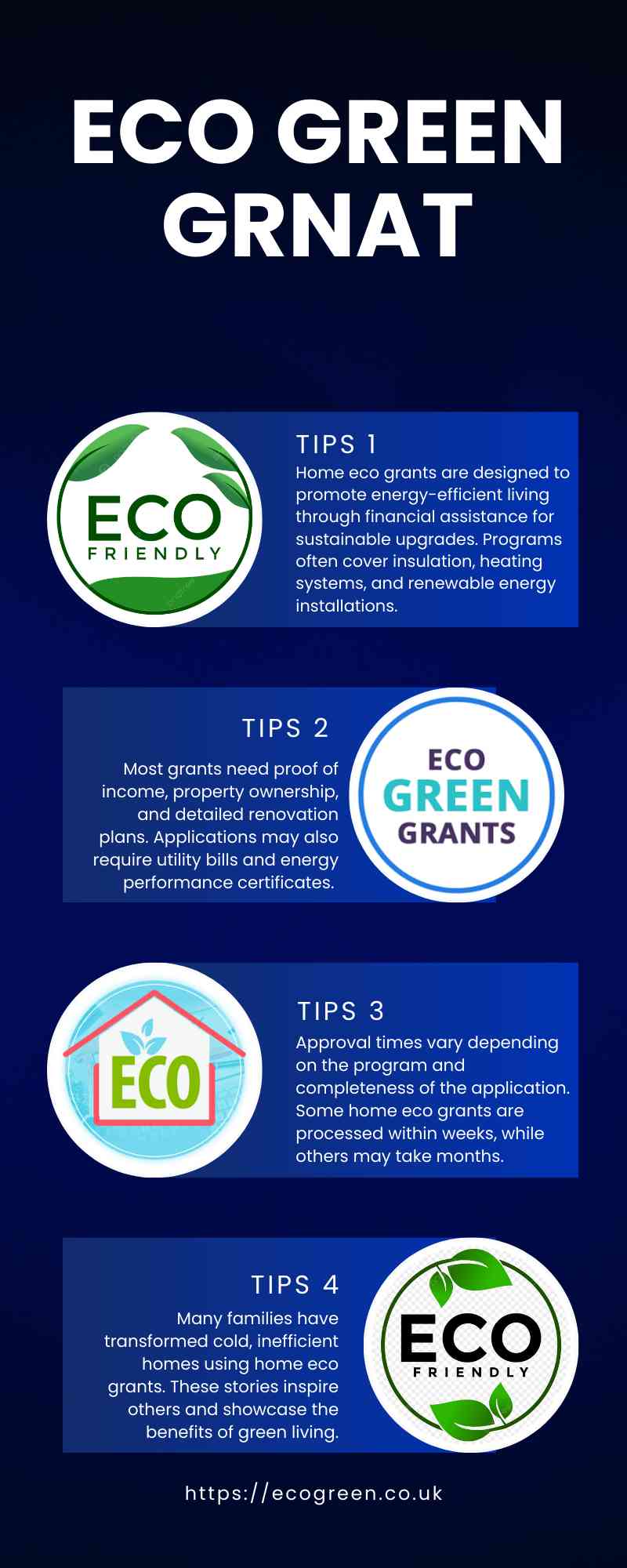 Eco Green Grant Infographic