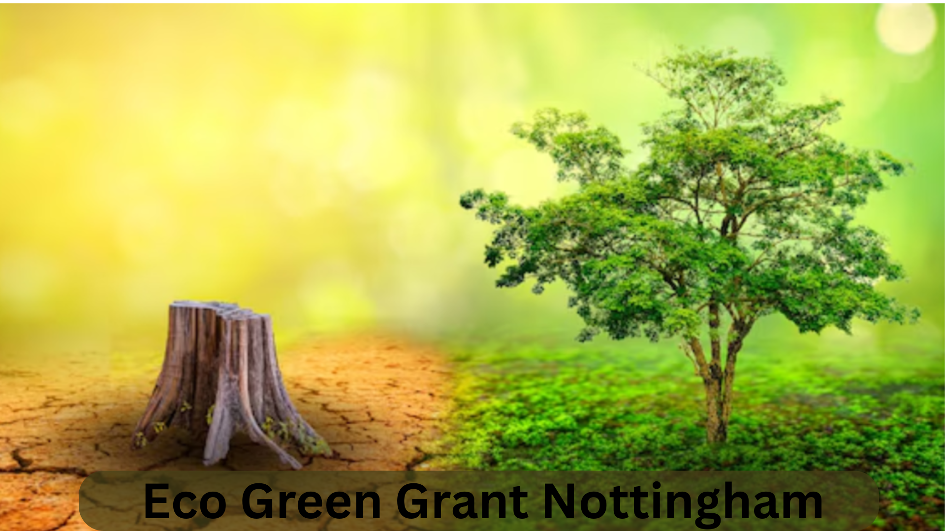 Eco Green Grant Nottingham