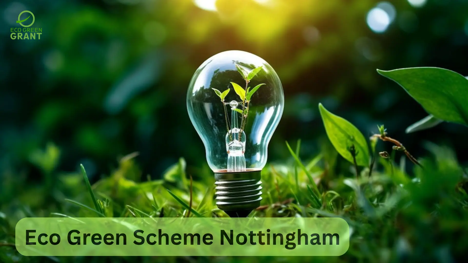 Eco Green Scheme Nottingham