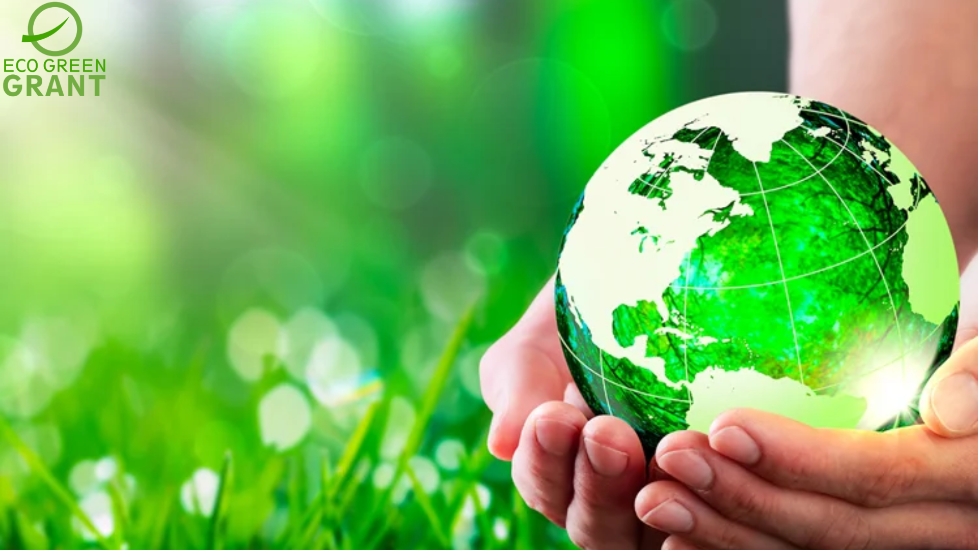 Eco Green Management Limited