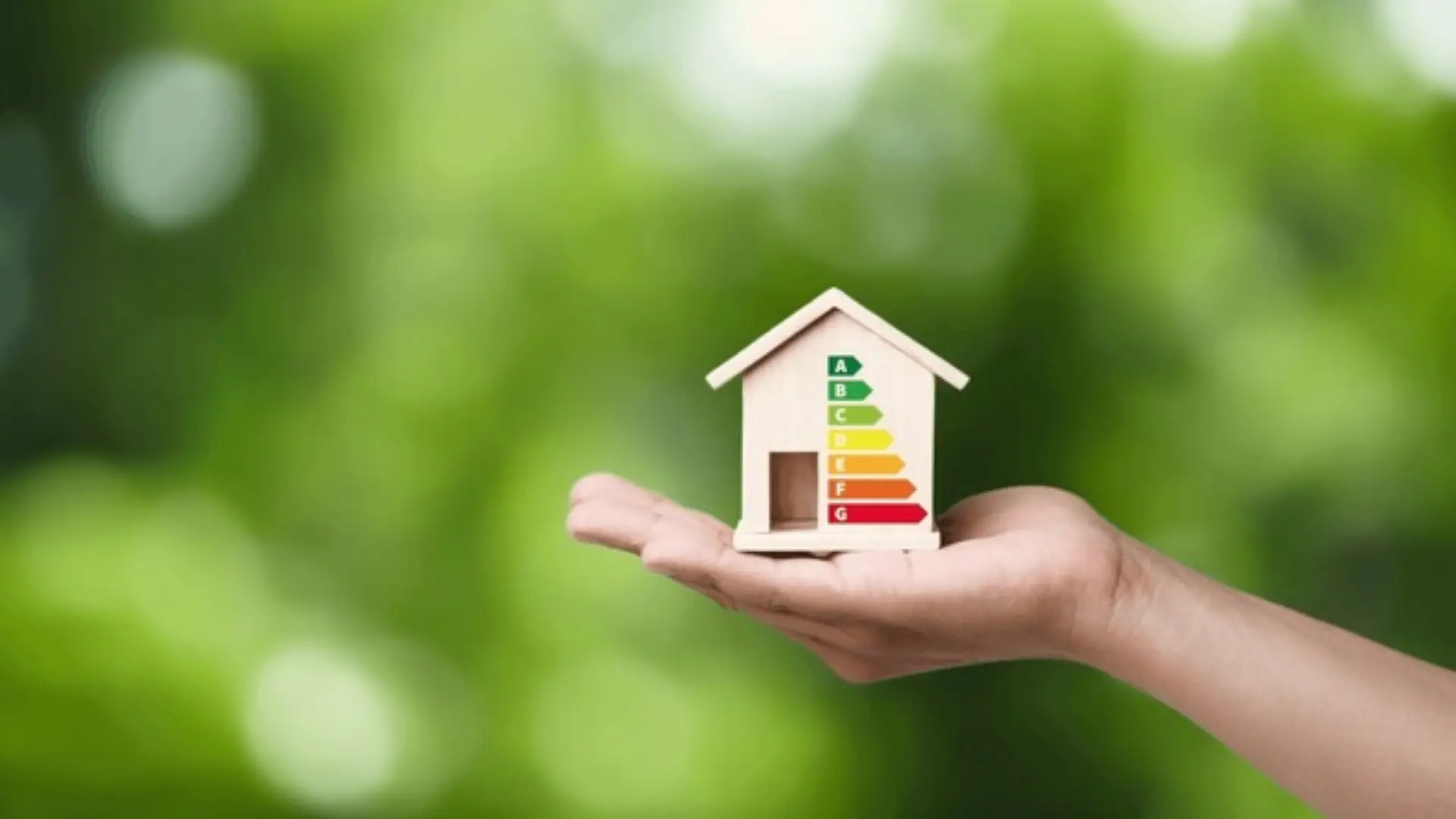 ECO4 eligibility checker
