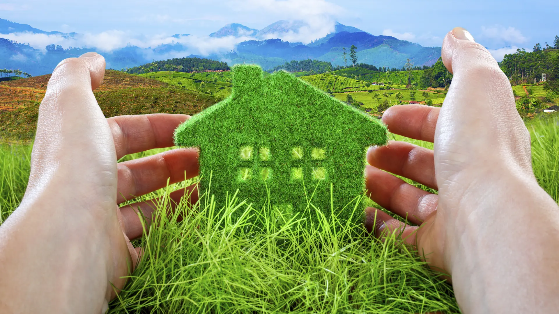 Eco Green Grant Services