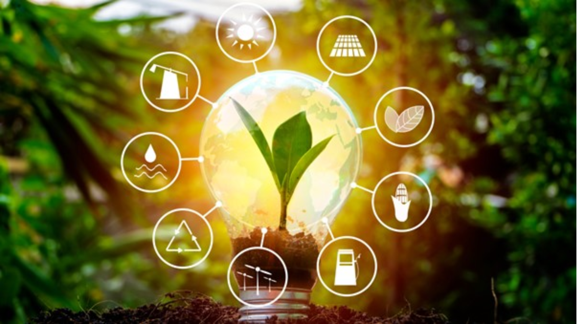Green Eco Grants
