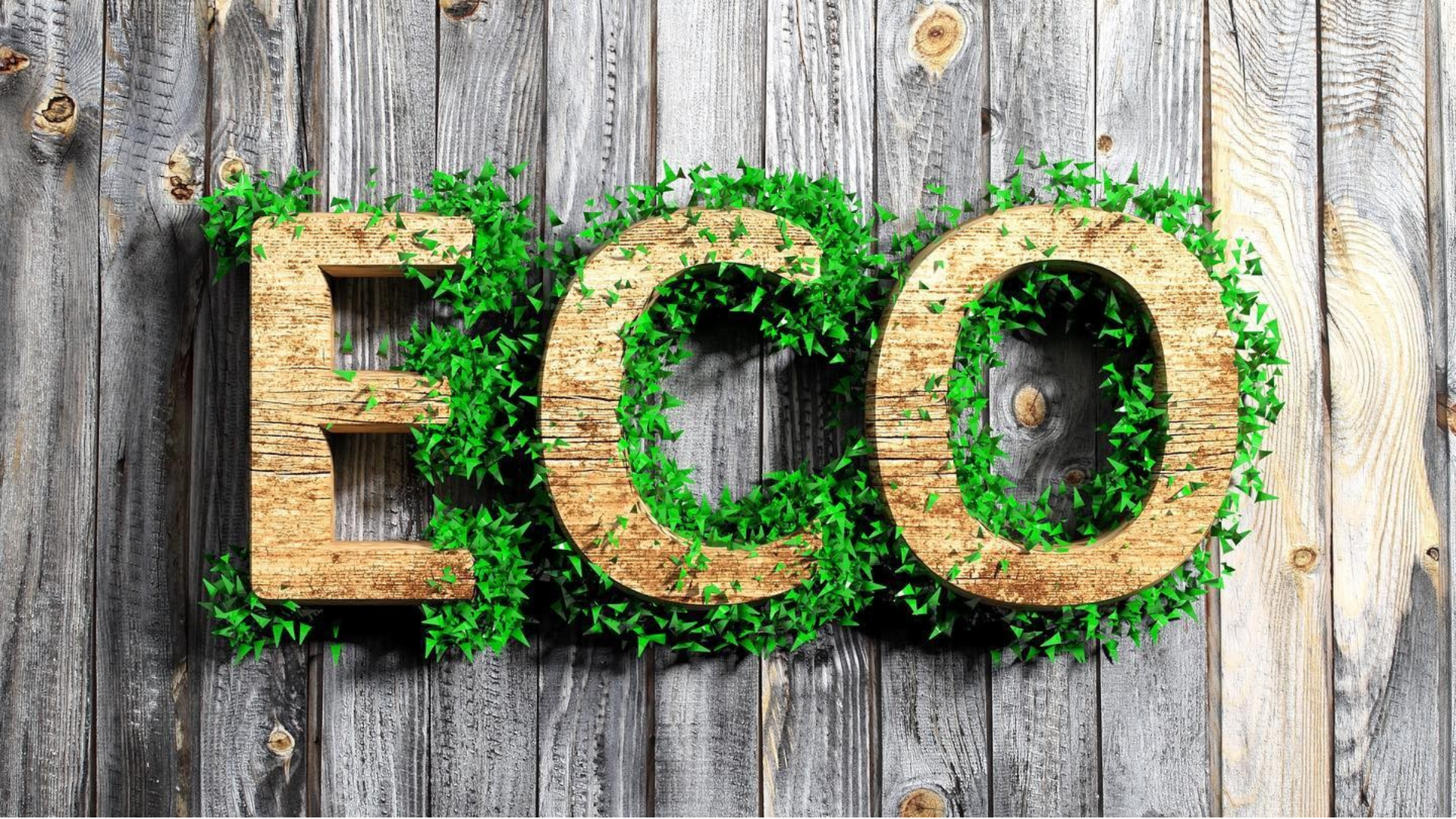 Green Homes Grants