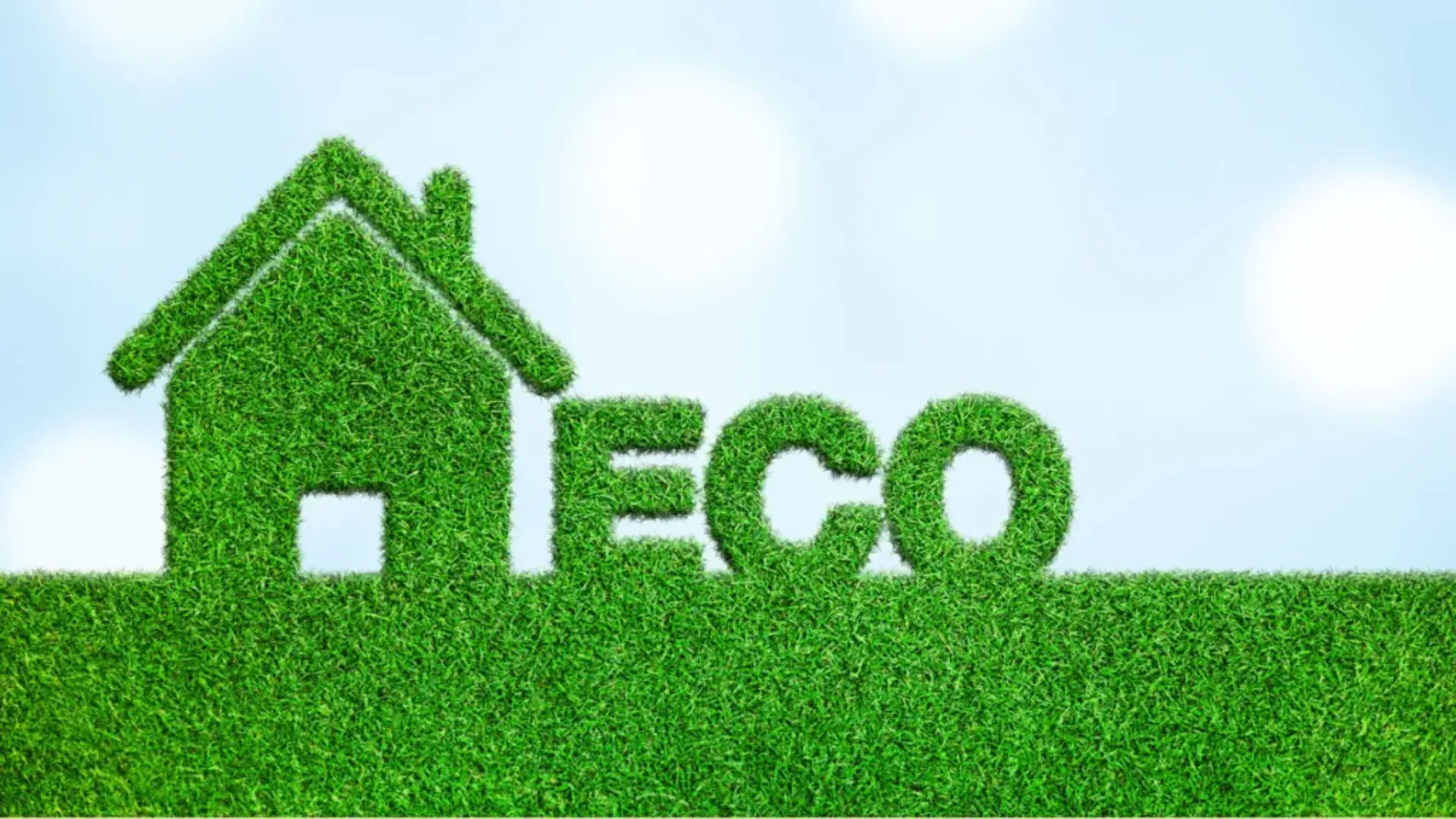The Eco Green Scheme