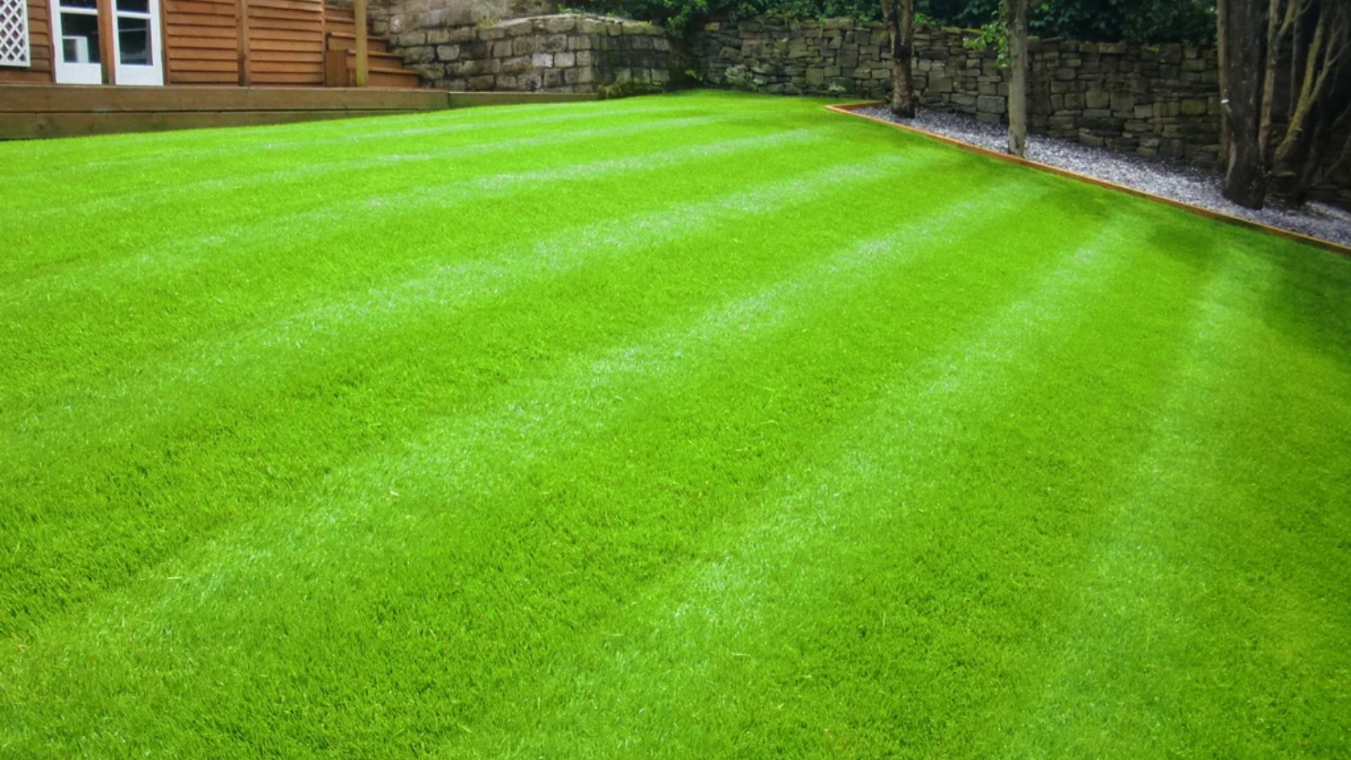 Core Components of Artificial Turf